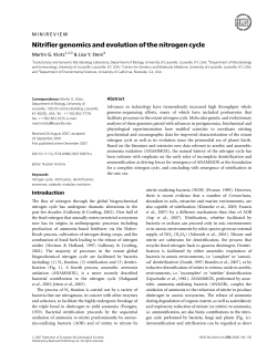 Nitrifier genomics and evolution of the nitrogen cycle