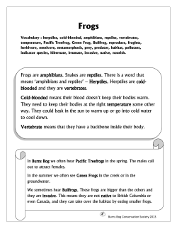Frogs - Burns Bog Conservation Society