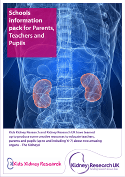 Schools information pack for Parents, Teachers and Pupils