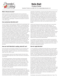 Nolo Bait - Grow Organic