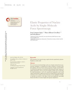 Elastic Properties of Nucleic Acids by Single