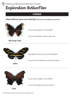 Exploration Butterflies - American Museum of Natural History
