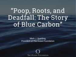 Poop, Roots, and Deadfall: The Story of Blue Carbon