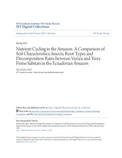 Nutrient Cycling in the Amazon