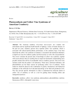 Photosynthesis and Yellow Vine Syndrome of American Cranberry