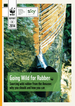 Going Wild for Rubber - the basic PDF update here.