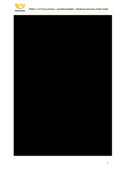 Př&iacute;loha č 13 - VP - Přehled z&aacute;kladn&iacute;ch a ostatn&iacute;ch služeb