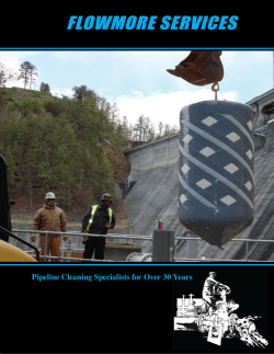 flowmore services - Pipeline Pigging Products