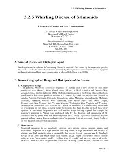 3.2.5 Whirling Disease of Salmonids - AFS