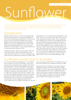 Sunflower production in Australia Introduction