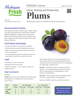 Plums, Using, Storing and Preserving
