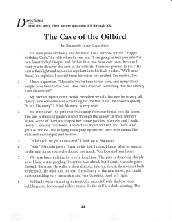 The Cave of the Oilbird