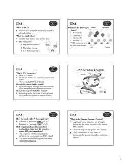 DNA DNA DNA DNA Structure Diagram DNA DNA