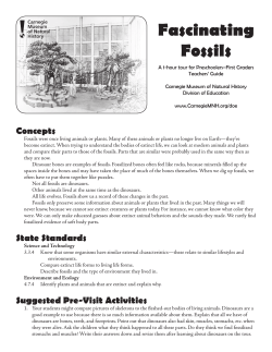 Fascinating Fossils