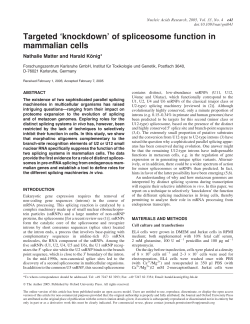 Targeted `knockdown` of spliceosome function in mammalian cells
