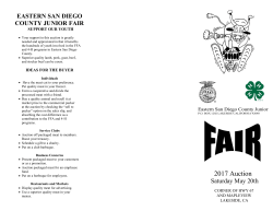 2017 Auction Brochure