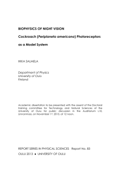 BIOPHYSICS OF NIGHT VISION Cockroach (Periplaneta