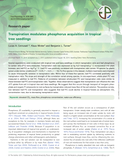 Transpiration modulates phosphorus acquisition in tropical tree