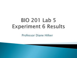 Professor Diane Hilker