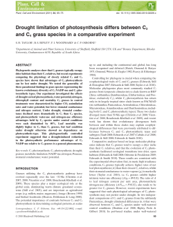 Drought limitation of photosynthesis differs between C3 and C4