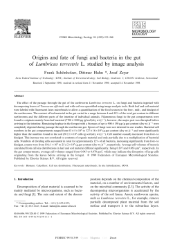 Origins and fate of fungi and bacteria in the gut of Lumbricus
