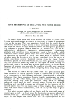 FOUR ARCHETYPES OF THE LIVING AND FOSSIL TREES In