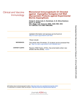 Murine Aspergillosis Experimental Glycoprotein Protects against
