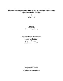 Temporal dynamics and function of root-associated