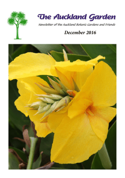 December 2016 - Friends of the Auckland Botanic Gardens