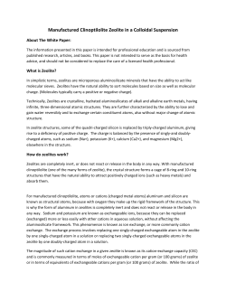 Manufactured Clinoptilolite Zeolite in a Colloidal Suspension