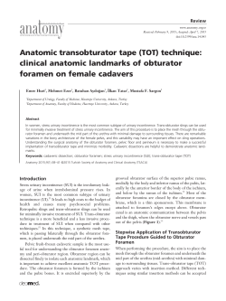 Anatomic transobturator tape (TOT) technique: clinical anatomic