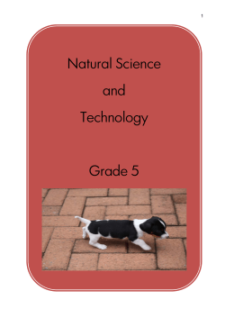 Natural Science and Technology Grade 5