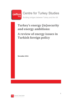to read the full report. - Centre for Turkey Studies