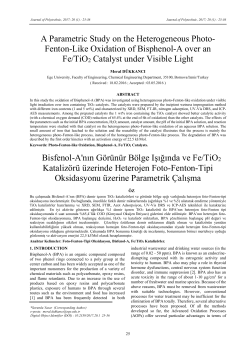 A Parametric Study on the Heterogeneous Photo- Fenton