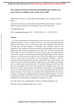 The response of brain serotonergic and dopaminergic systems to an