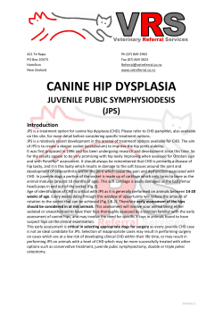 CANINE HIP DYSPLASIA