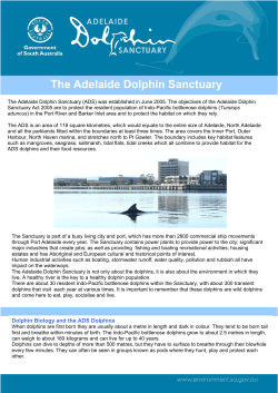 The Adelaide Dolphin Sanctuary