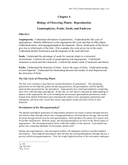 Chapter 4 Biology of Flowering Plants: Reproduction Gametophytes