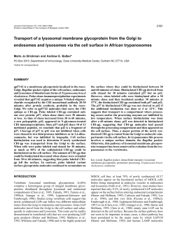 Transport of a lysosomal membrane glycoprotein from the Golgi to