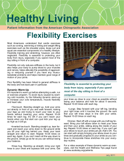 Flexibility Exercises