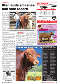 Glenlands smashes bull sale record