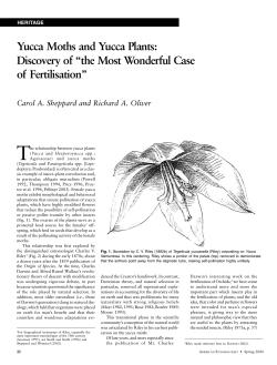 Yucca Moths and Yucca Plants: Discovery of &ldquo;the