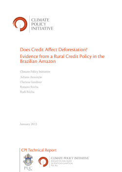 Does Credit Affect Deforestation?