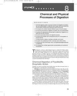 Chemical and Physical Processes of Digestion