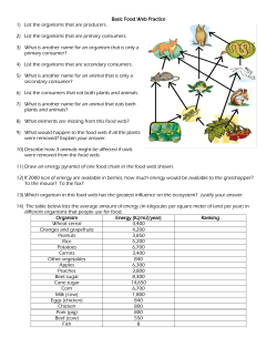Basic Food Web Practice 1) List the organisms that are