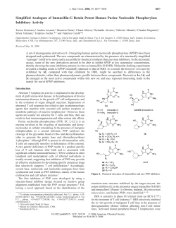 Simplified Analogues of Immucillin
