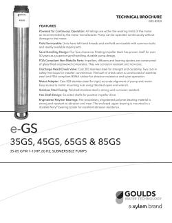 Goulds e-GS Series (35-85 GPM)