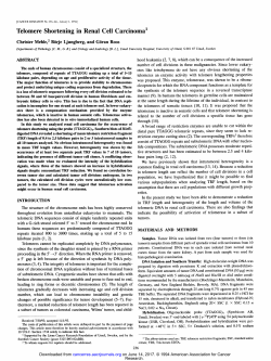Telomere Shortening in Renal Cell Carcinoma I