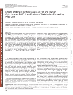 Effects of Benzyl Isothiocyanate on Rat and Human Cytochromes