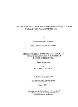 The role of haematocrit in oxygen transport and